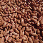 Borlottibönor 500g